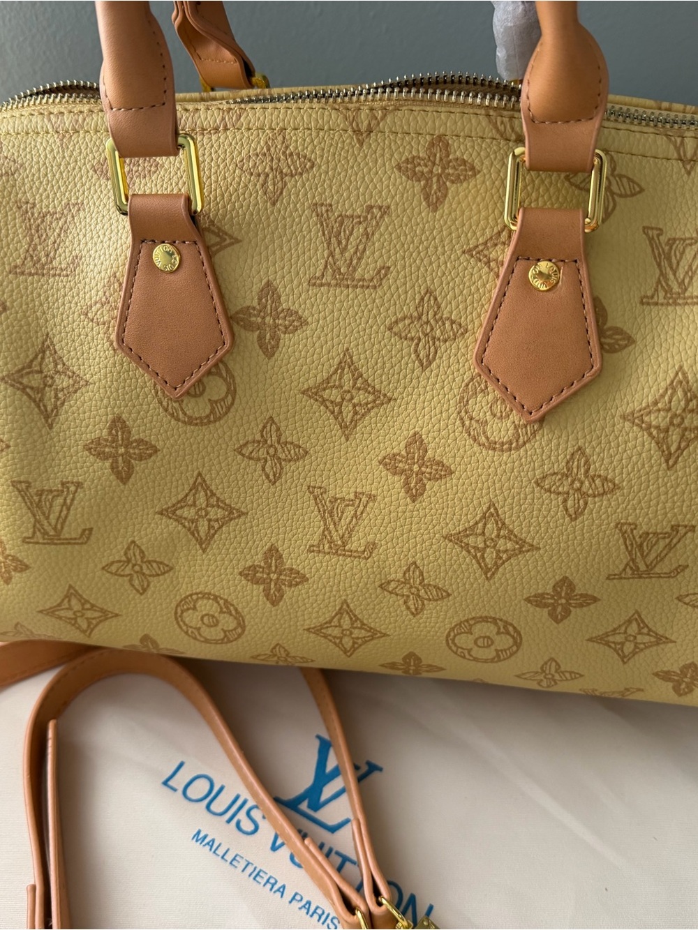 Louis Vuitton Yellow Monogram Satchel with Tan Leather Trim